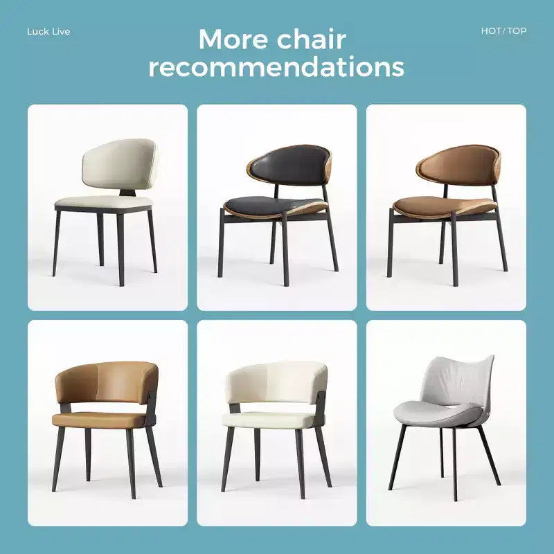 Chaises de salle à manger modernes et chaises d'extérieur