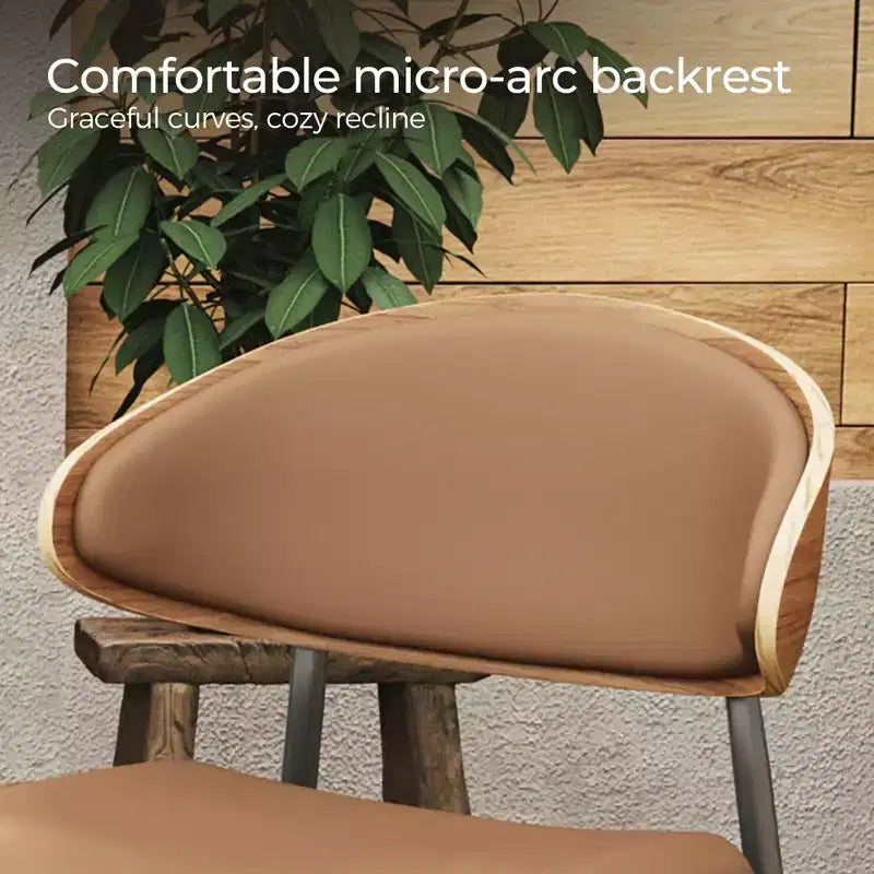 Chaises de salle à manger modernes et chaises d'extérieur