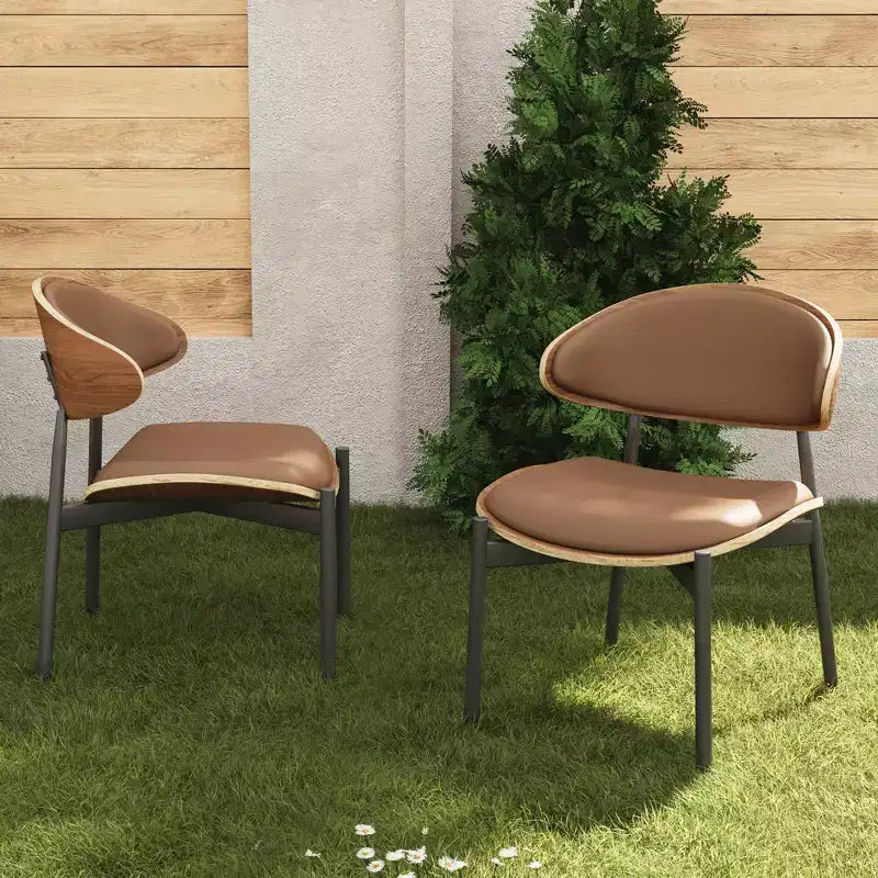 Chaises de salle à manger modernes et chaises d'extérieur